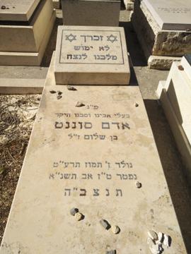 תמונת מצבה