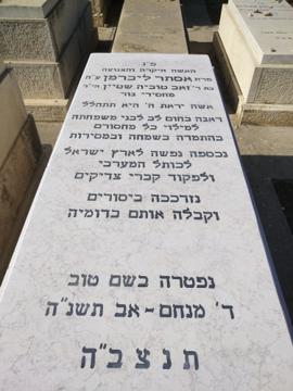 תמונת מצבה
