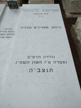 תמונת מצבה
