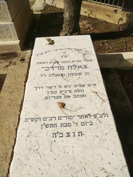 תמונת מצבה