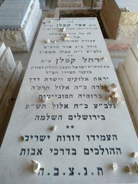 תמונת מצבה