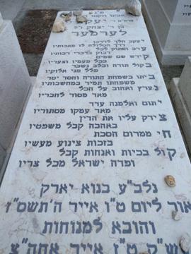 תמונת מצבה