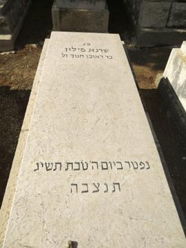 תמונת מצבה