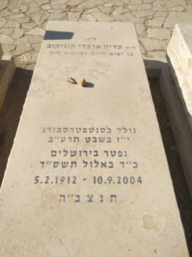 תמונת מצבה
