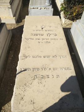 תמונת מצבה