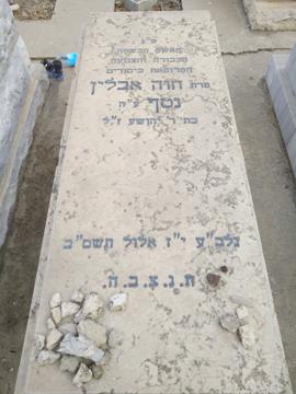 תמונת מצבה