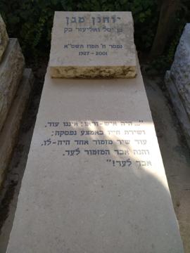 תמונת מצבה