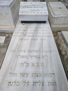 תמונת מצבה
