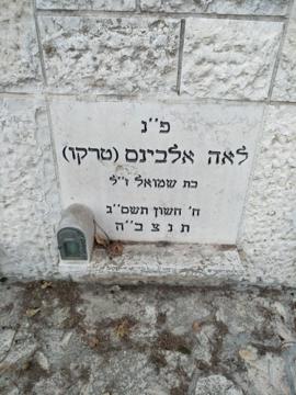 תמונת מצבה