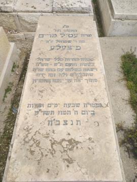 תמונת מצבה