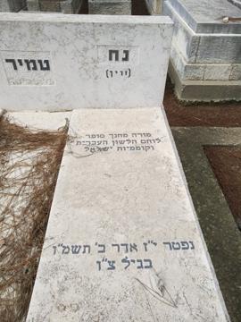 תמונת מצבה