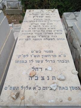 תמונת מצבה