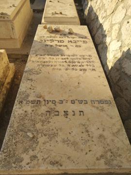 תמונת מצבה