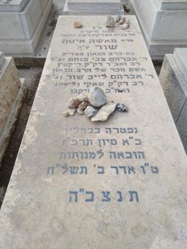 תמונת מצבה