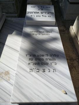 תמונת מצבה
