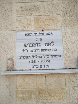 תמונת מצבה