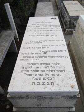 תמונת מצבה