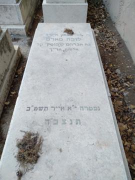 תמונת מצבה