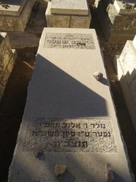 תמונת מצבה