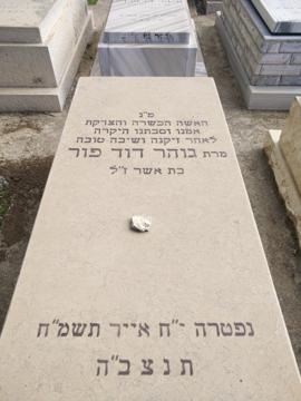 תמונת מצבה