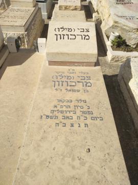 תמונת מצבה