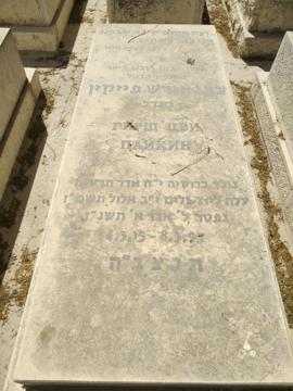 תמונת מצבה