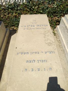 תמונת מצבה