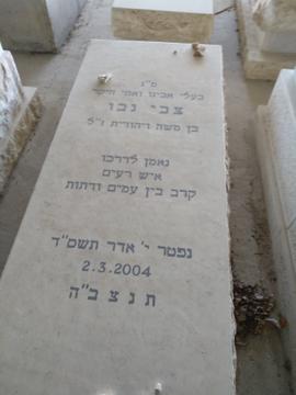 תמונת מצבה