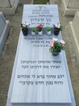 תמונת מצבה