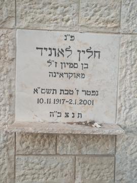 תמונת מצבה