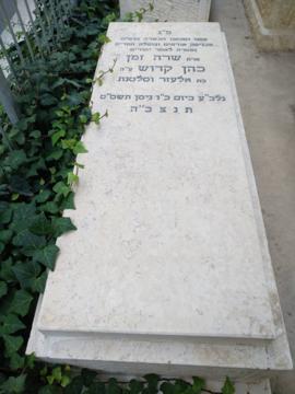 תמונת מצבה