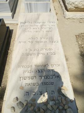 תמונת מצבה
