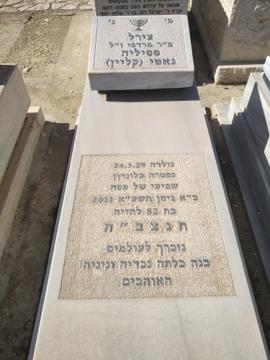 תמונת מצבה