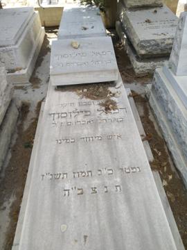 תמונת מצבה