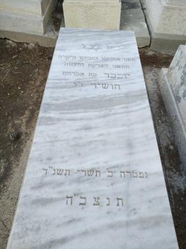 תמונת מצבה