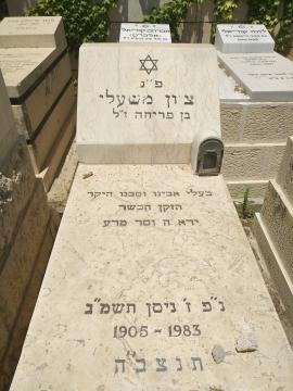 תמונת מצבה