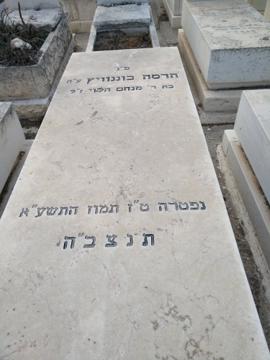 תמונת מצבה