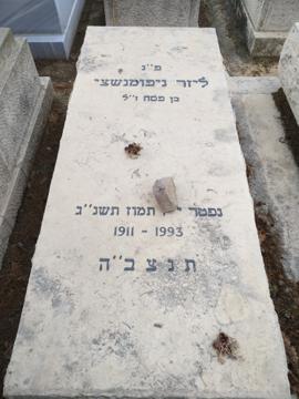 תמונת מצבה