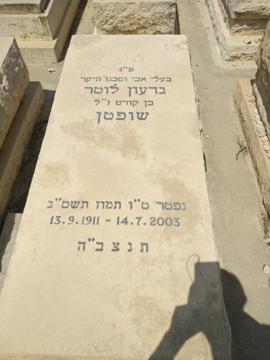 תמונת מצבה