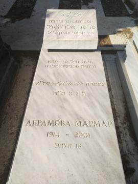 תמונת מצבה