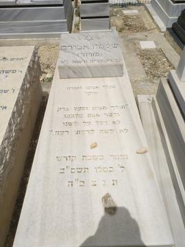 תמונת מצבה