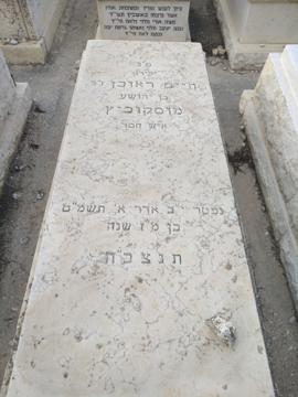 תמונת מצבה