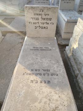 תמונת מצבה
