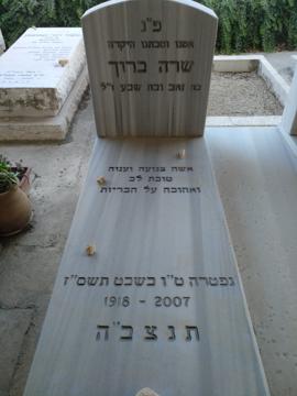 תמונת מצבה