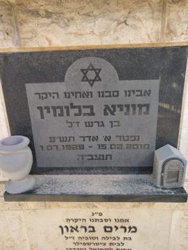 תמונת מצבה