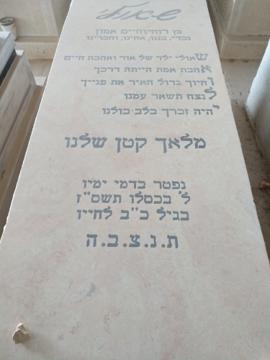 תמונת מצבה