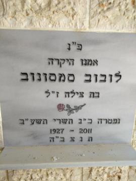 תמונת מצבה