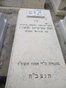 תמונת מצבה