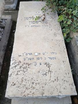 תמונת מצבה