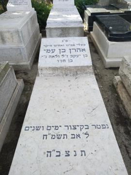 תמונת מצבה